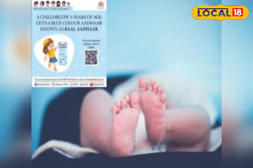 UIDAI also issues Aadhaar cards to children, known as Bal Aadhaar. Even newborns are eligible for a Bal Aadhaar card. However, it must be updated with the child’s biometric data when they turn 5 years old and again at 15 years. UIDAI also issues Aadhaar cards to children, known as Bal Aadhaar. Even newborns are eligible for a Bal Aadhaar card. However, it must be updated with the child’s biometric data when they turn 5 years old and again at 15 years.