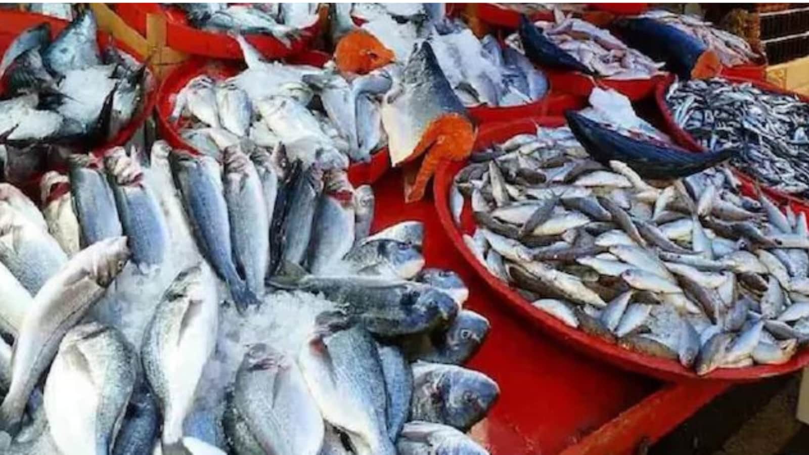 India's Seafood Exports To UK Set For 70% Growth Under New Trade Deal