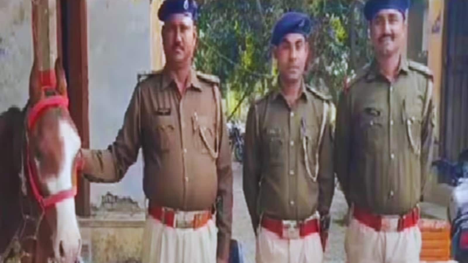 Trained To Smuggle Alone: Liquor-Laden Horses Caught Crossing Bihar Border At Night