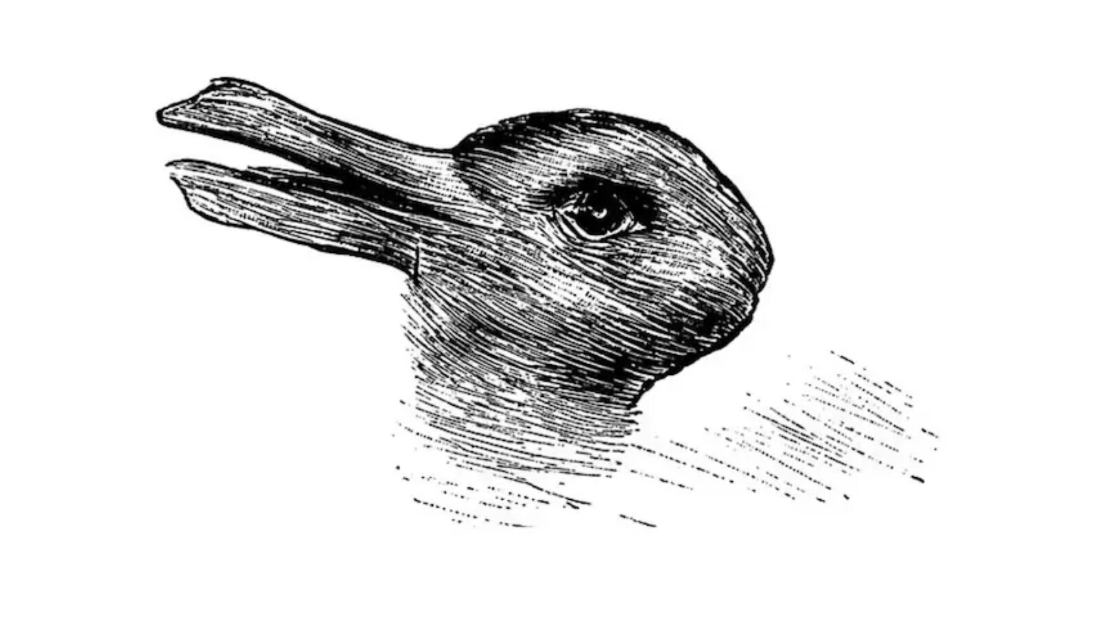 Rabbit Or Duck Does This 132 Year Old Optical Illusion Really Read Rabbit Or Duck Does This 132 Year Old Optical Illusion Really Read