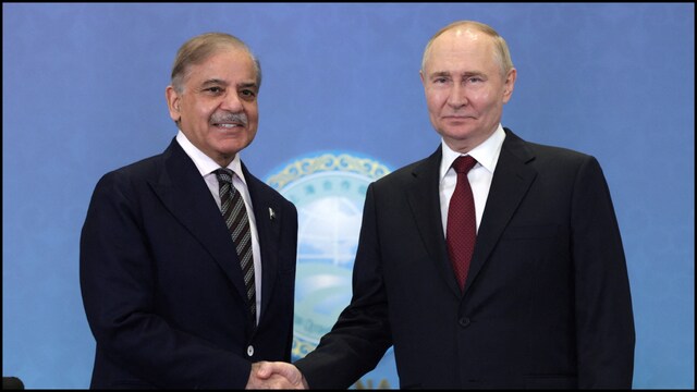 A Russian official slammed Pakistan's effort to derail ties with India. (Reuters/File Image)