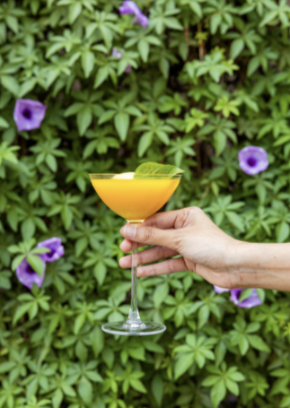 9 DIY Cocktails to Try at Home This World Cocktail Day