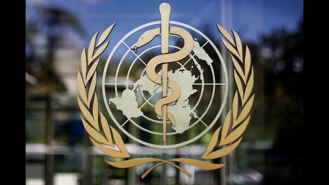 The WHO has classified the fungus Aspergillus fumigatus as a major public health concern. (Representative/AP)