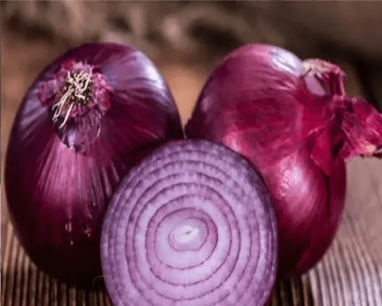 Aspergillus niger can be particularly harmful to individuals with allergies. Consuming onions affected by this fungus may lead to respiratory problems, skin irritations, or even weaken the immune system over time. (News18 Gujarati) Aspergillus niger can be particularly harmful to individuals with allergies. Consuming onions affected by this fungus may lead to respiratory problems, skin irritations, or even weaken the immune system over time. (News18 Gujarati)