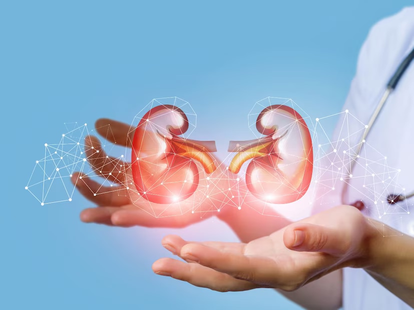 These night-time symptoms are the body's early warnings. Ignoring them could allow kidney damage to worsen over time. Instead, recognising and acting on these signs early gives you a better chance of managing your health and protecting your kidneys. (News18 Telugu) These night-time symptoms are the body's early warnings. Ignoring them could allow kidney damage to worsen over time. Instead, recognising and acting on these signs early gives you a better chance of managing your health and protecting your kidneys. (News18 Telugu)