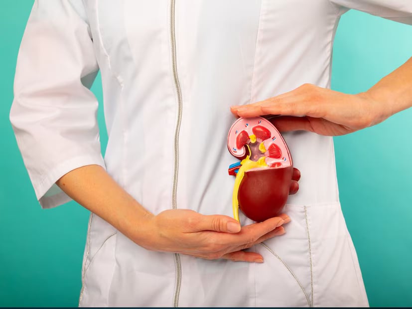 Getting basic tests such as blood and urine examinations can provide important insights into kidney health. If you regularly face any of these issues at night, consult a doctor. Timely diagnosis can prevent further deterioration and help maintain a good quality of life. (News18 Telugu) Getting basic tests such as blood and urine examinations can provide important insights into kidney health. If you regularly face any of these issues at night, consult a doctor. Timely diagnosis can prevent further deterioration and help maintain a good quality of life. (News18 Telugu)