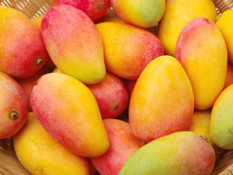 India produces about 25 million metric tonnes of mangoes annually, meaning nearly half of the world’s mangoes come from here. The country’s diverse climate and fertile soil support the cultivation of many varieties, including Alphonso, Kesar, and Dussehri. Mangoes are also deeply rooted in Indian culture and festivals, making them much more than just a seasonal fruit. (News18 Hindi) India produces about 25 million metric tonnes of mangoes annually, meaning nearly half of the world’s mangoes come from here. The country’s diverse climate and fertile soil support the cultivation of many varieties, including Alphonso, Kesar, and Dussehri. Mangoes are also deeply rooted in Indian culture and festivals, making them much more than just a seasonal fruit. (News18 Hindi)