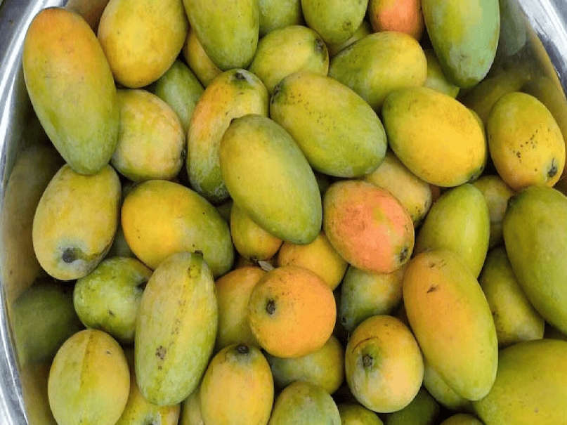 China comes in second, producing around 3.8 million metric tonnes of mangoes every year. Cultivation is mostly concentrated in the southern parts of the country, where the climate is warmer. To meet rising domestic demand and boost exports, China is steadily expanding its mango farming areas. (News18 Hindi) China comes in second, producing around 3.8 million metric tonnes of mangoes every year. Cultivation is mostly concentrated in the southern parts of the country, where the climate is warmer. To meet rising domestic demand and boost exports, China is steadily expanding its mango farming areas. (News18 Hindi)