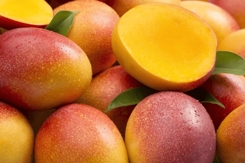 Following Mexico, the next top mango-producing countries are Thailand, the Philippines, Bangladesh, Nigeria, and Brazil, ranked sixth to tenth, respectively. These countries also produce mangoes in large quantities. Each country grows unique varieties based on their local climates. While India leads in overall production, Mexico is notable as one of the largest global exporters of mangoes. (News18 Hindi) Following Mexico, the next top mango-producing countries are Thailand, the Philippines, Bangladesh, Nigeria, and Brazil, ranked sixth to tenth, respectively. These countries also produce mangoes in large quantities. Each country grows unique varieties based on their local climates. While India leads in overall production, Mexico is notable as one of the largest global exporters of mangoes. (News18 Hindi)