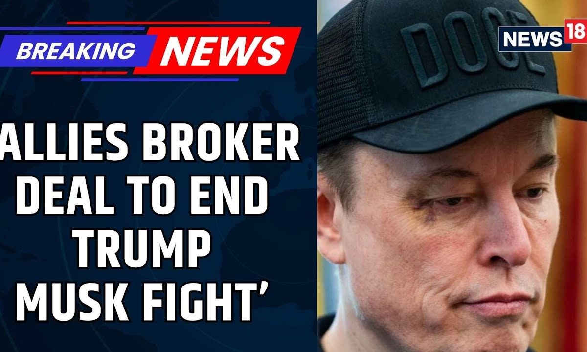 Trump Vs Elon Musk | Allies Trying To Broker Musk And Trump Feud: Report | Trump Musk Fight | News18