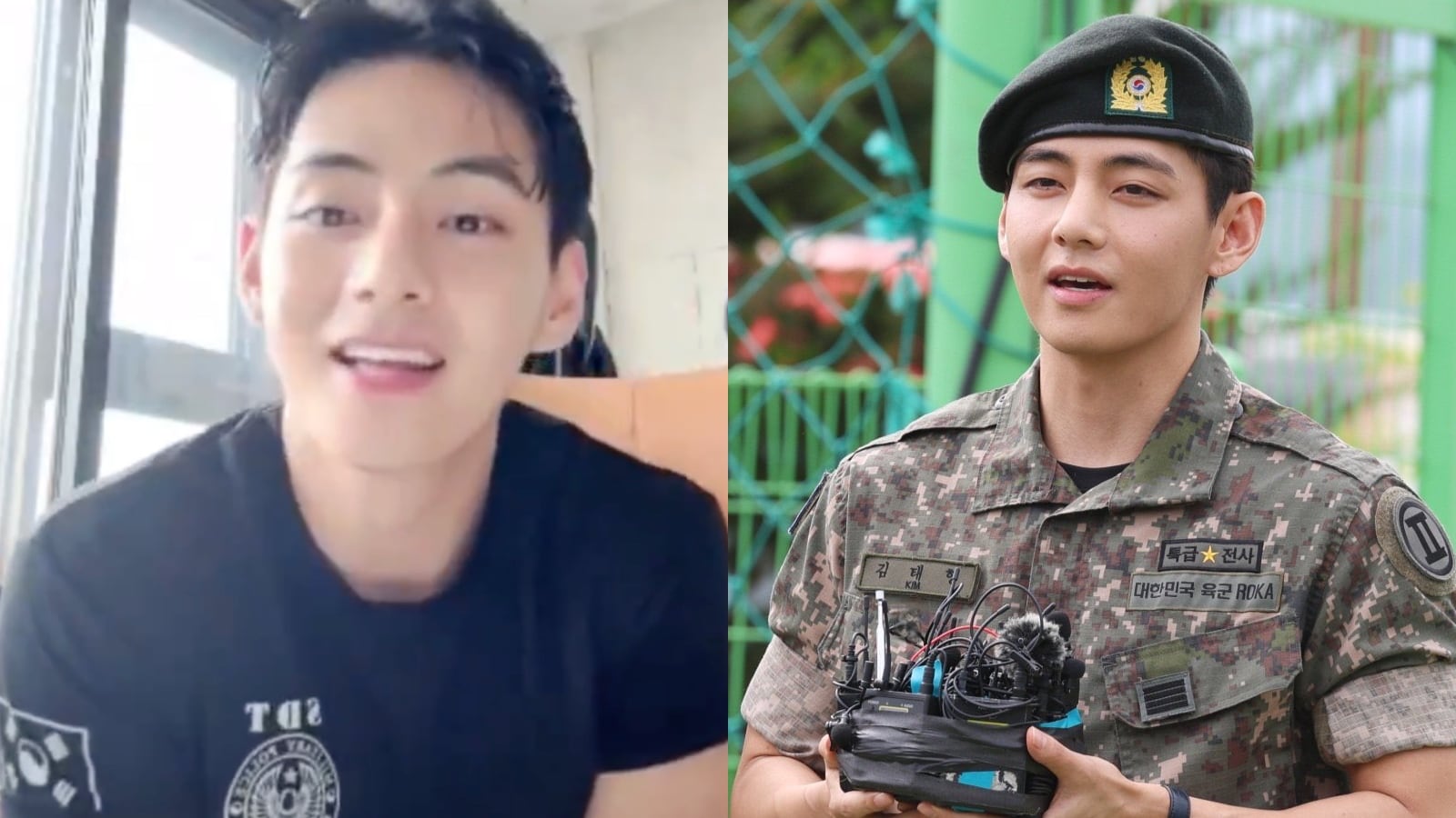 BTS' V Achieved 20 Milestones During Military Service