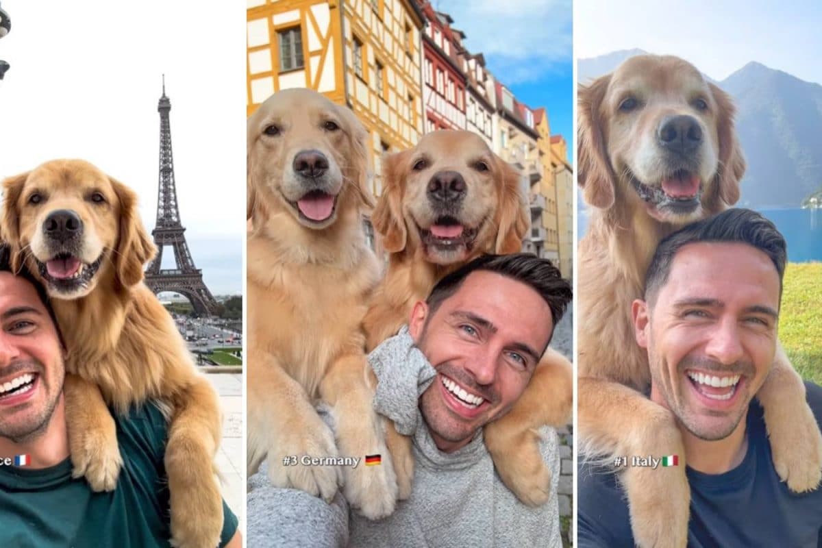 Two Globe-Trotting Golden Retrievers Spread Joy Worldwide with Cute Selfies