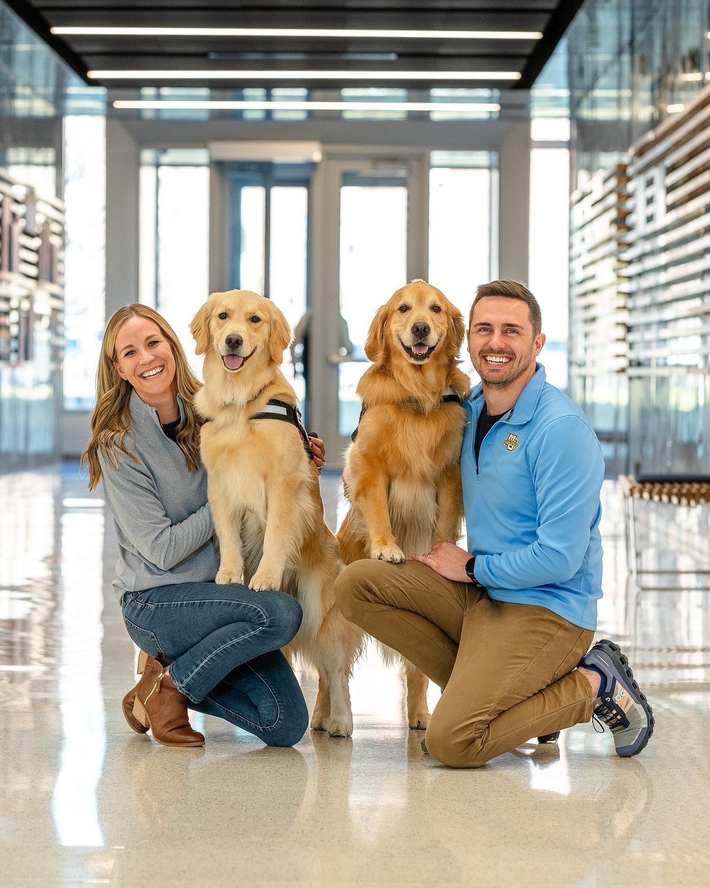 Golden Retriever Life Golden Retriever Life