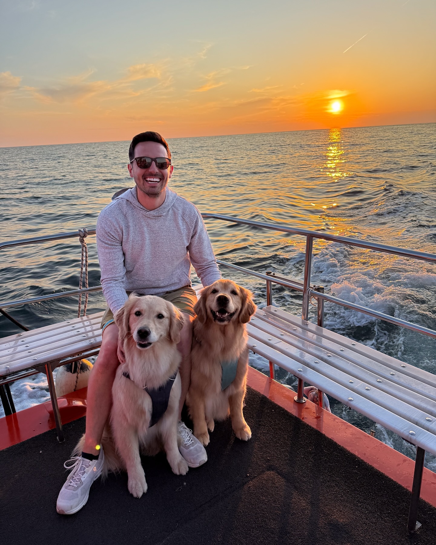 Golden Retriever Life Golden Retriever Life