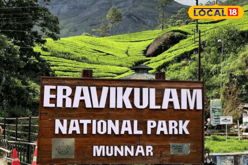 Munnar, Kerala: Part of Kerala’s Idukki district, Munnar is a hill station known for its lush tea gardens and rich biodiversity. It is a popular destination for trekking and nature tourism. (News18 Hindi) Munnar, Kerala: Part of Kerala’s Idukki district, Munnar is a hill station known for its lush tea gardens and rich biodiversity. It is a popular destination for trekking and nature tourism. (News18 Hindi)