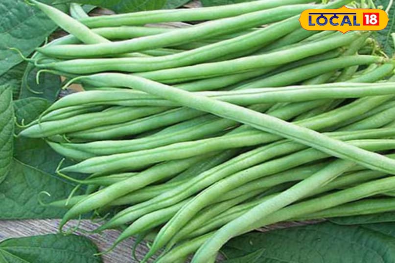 Beans are known to be a powerhouse of nutrients. They are rich in sodium, folate, fibre, calcium, vitamins, and phosphorus. But when beans are fried in oil, many of these nutrients begin to break down. It’s best to boil beans and then use them in your recipes. The addition of salt and turmeric is optional and can be adjusted according to your preference. (News18 Hindi) Beans are known to be a powerhouse of nutrients. They are rich in sodium, folate, fibre, calcium, vitamins, and phosphorus. But when beans are fried in oil, many of these nutrients begin to break down. It’s best to boil beans and then use them in your recipes. The addition of salt and turmeric is optional and can be adjusted according to your preference. (News18 Hindi)