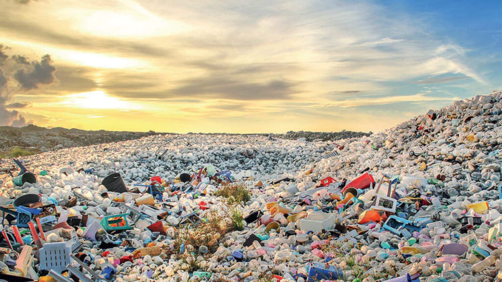 Garnier and India Partner to Reduce Plastic Waste