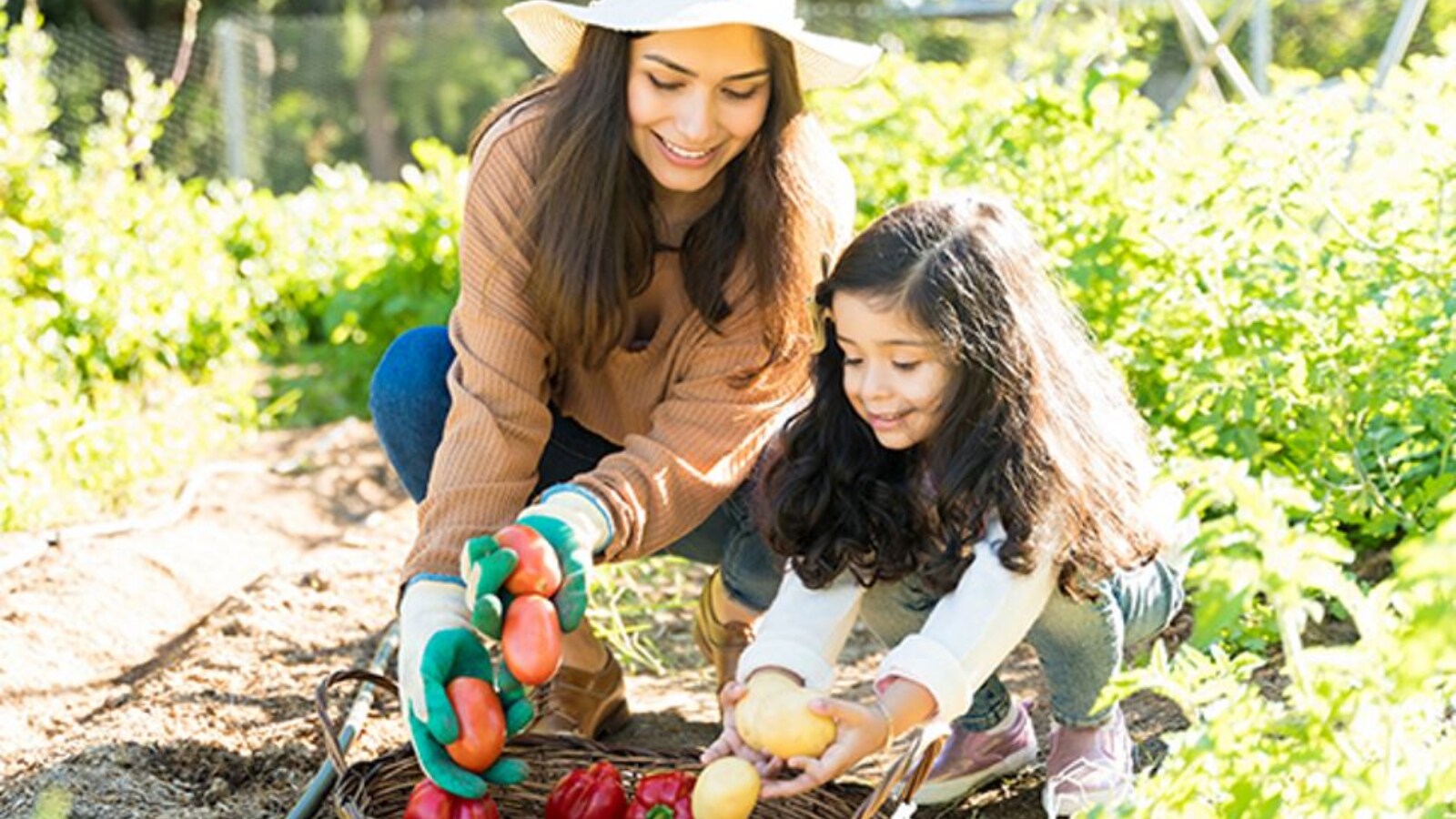 Gardening's Therapeutic Benefits for Seniors Over 60