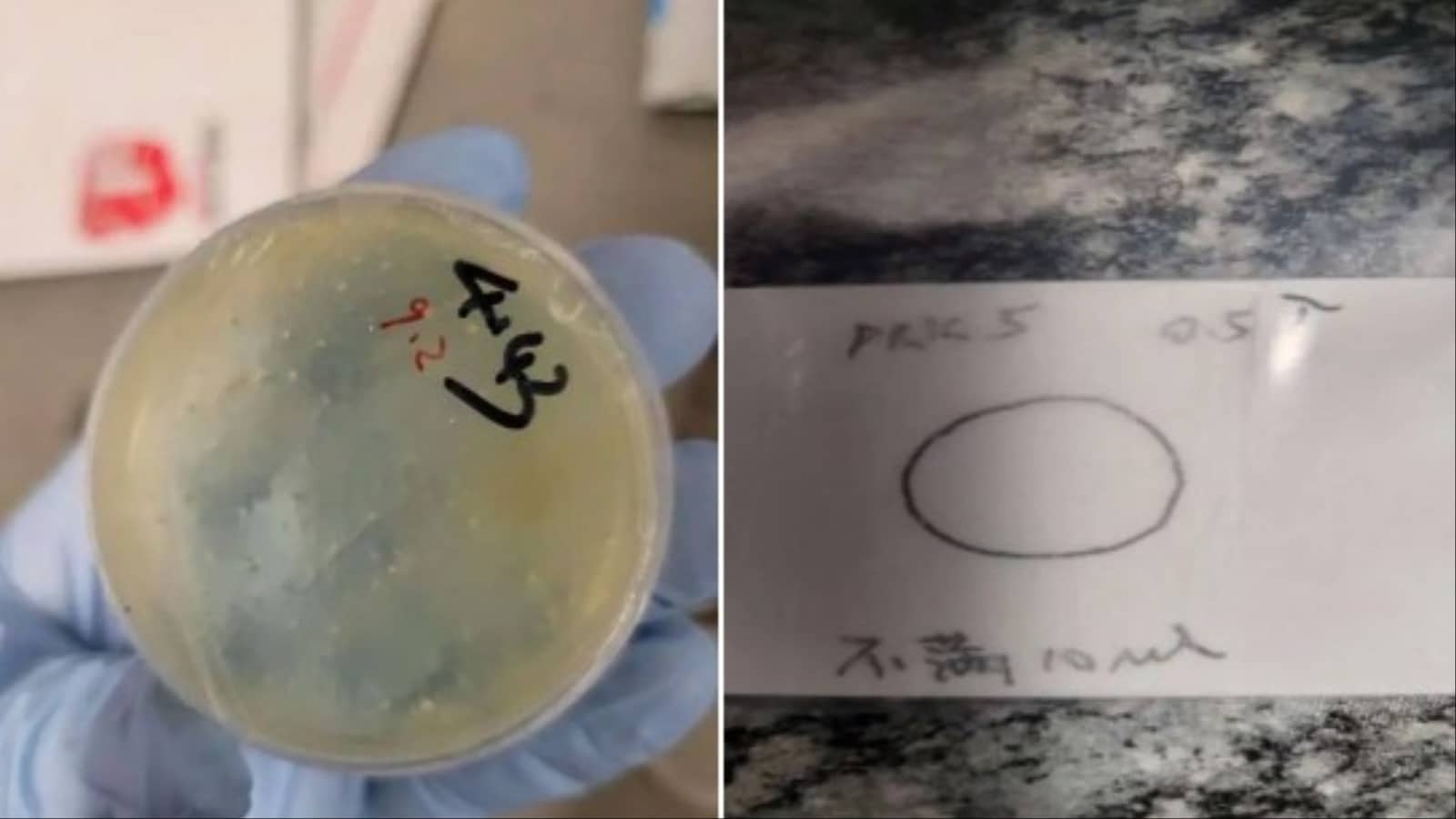Chinese National Arrested In US For Smuggling Biological Materials, Second Such Case In Days