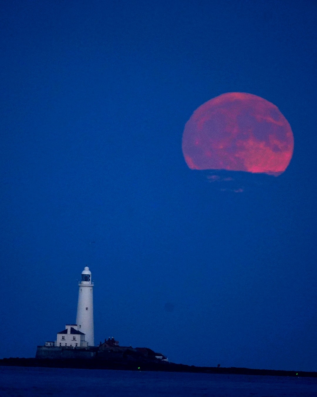 Strawberry Moon 2025