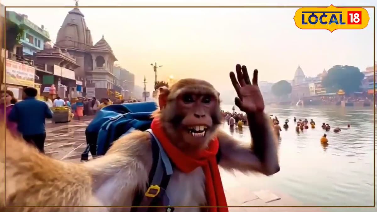 Babloo The Monkey’s Kedarnath Vlog Stuns The Internet, Viewers Fooled And Moved