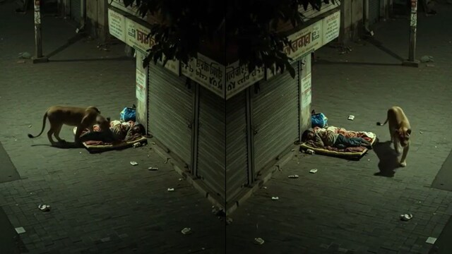 The lion escaped the life of a sleeping man in a strange street encounter. (Viral Video Screen Glove)
