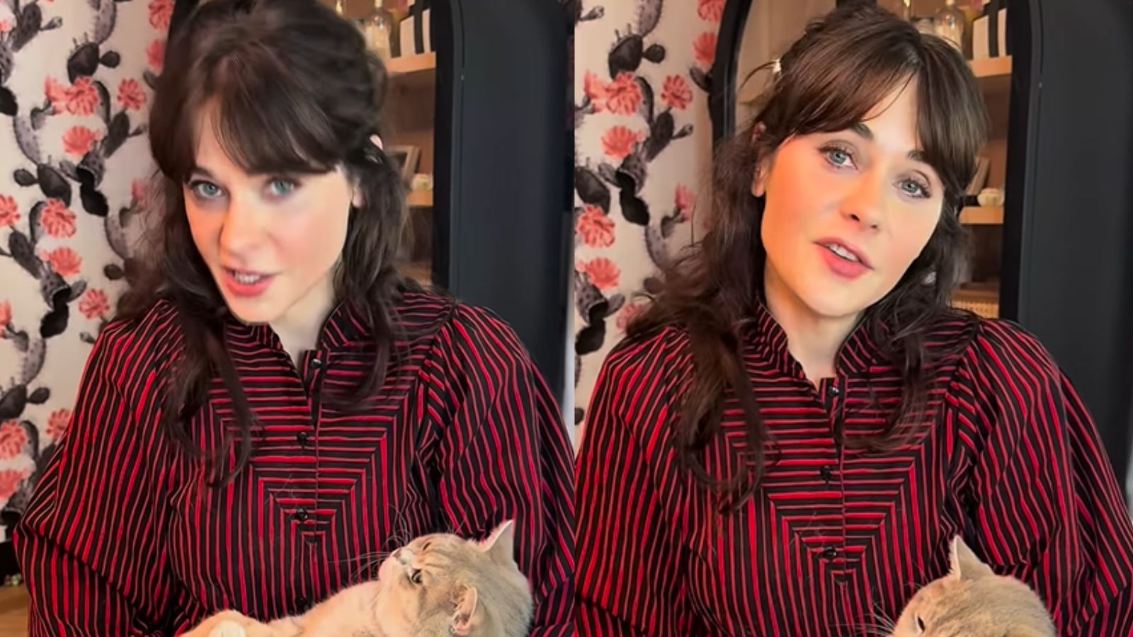 Zooey Deschanel's Hilarious Hunger Games Audition Video