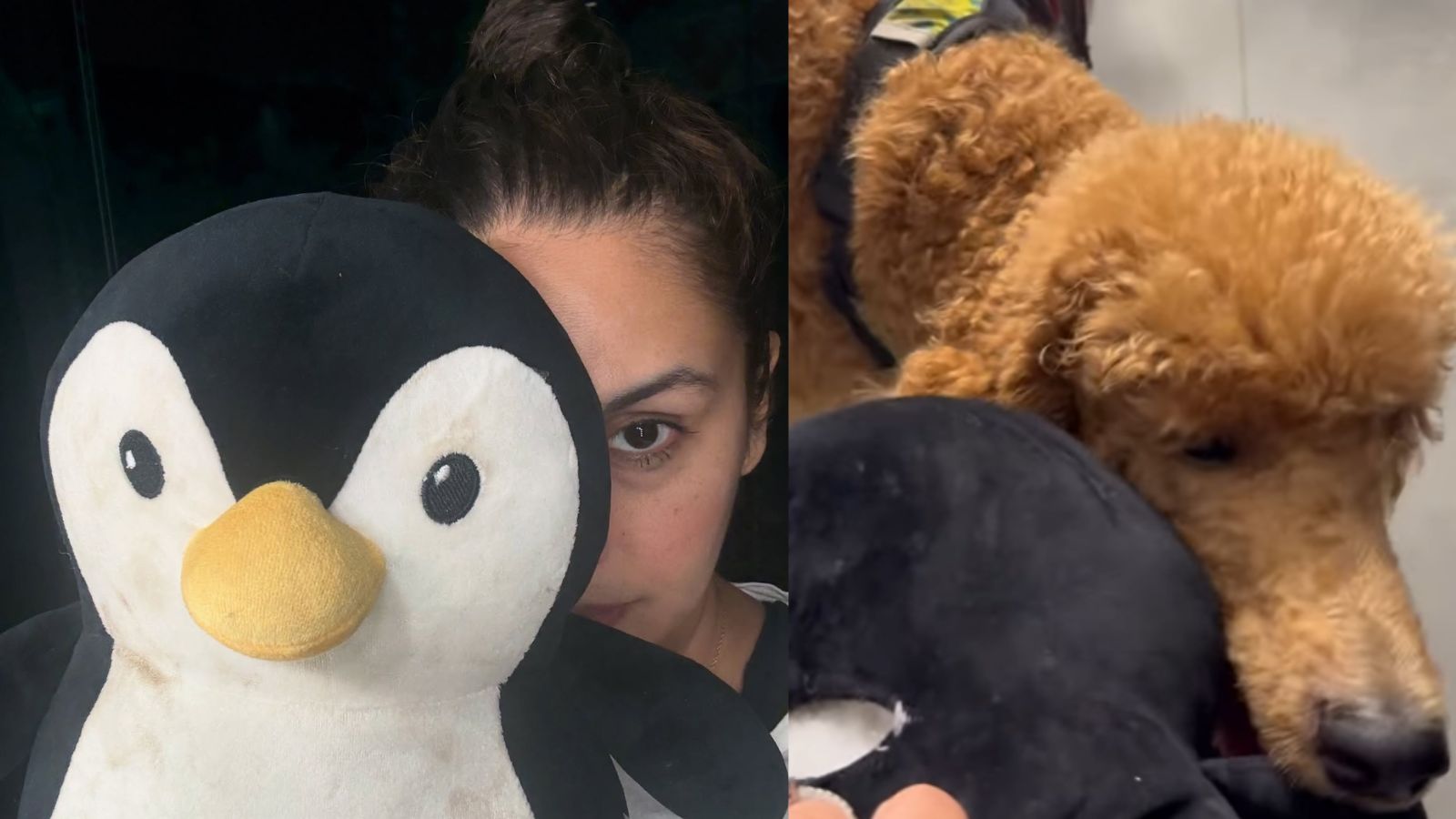 Huma Qureshi Shares Dog-Related 'Labubu' Mystery