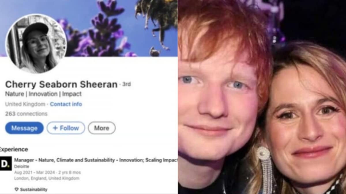 Ed Sheeran's Wife's Career Highlights, Supreme Court Ends Lawsuit