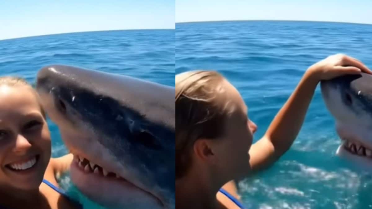 Video of Woman Hugging Shark Sparks Doubts and AI Concerns