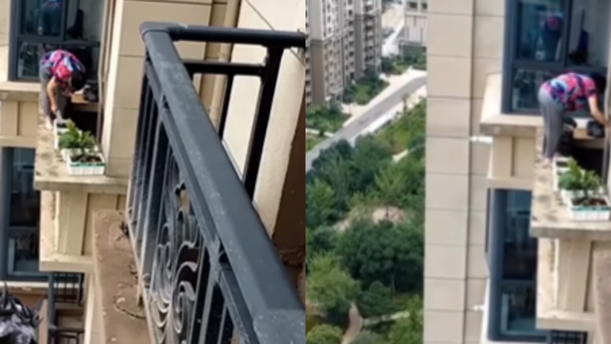 Woman's Balcony Gardening Goes Viral, Sparks Online Reactions