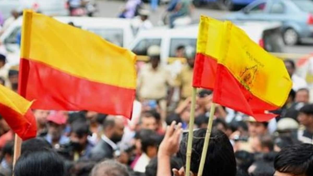 Kannadiga Flags Bengaluru’s Shrinking Local Population. Of Course, It Is Viral