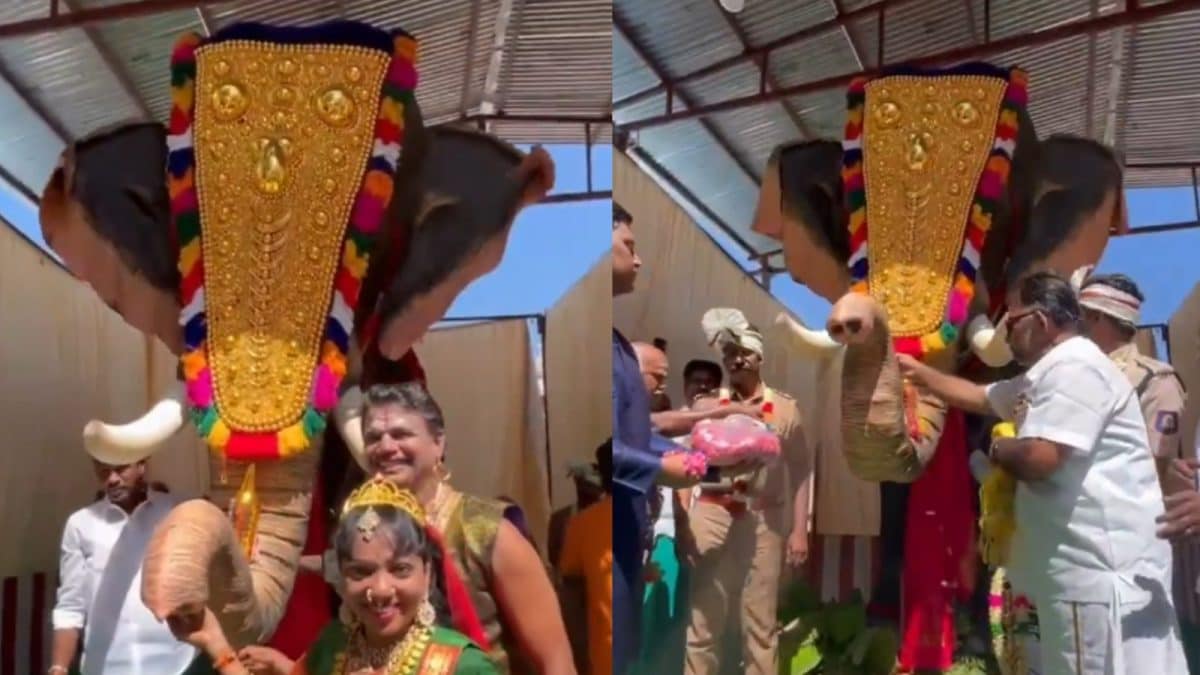 Trisha Krishnan Donates Robotic Elephant to Tamil Nadu Temples