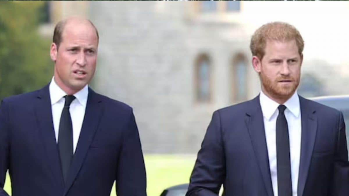 Prince William Cuts Ties After 'Private Audience' Allegations