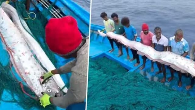 30-Foot 'Doomsday Fish' Caught In Tamil Nadu, Folklore Ties It To ...
