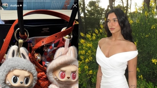 Dua Lipa, Sharvari, Hilary Duff Are Obsessed with This Cute Labubu Doll