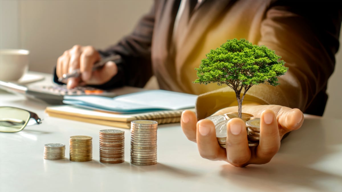 Flexi-Cap vs. Multi-Cap Funds: Choosing the Right Investment