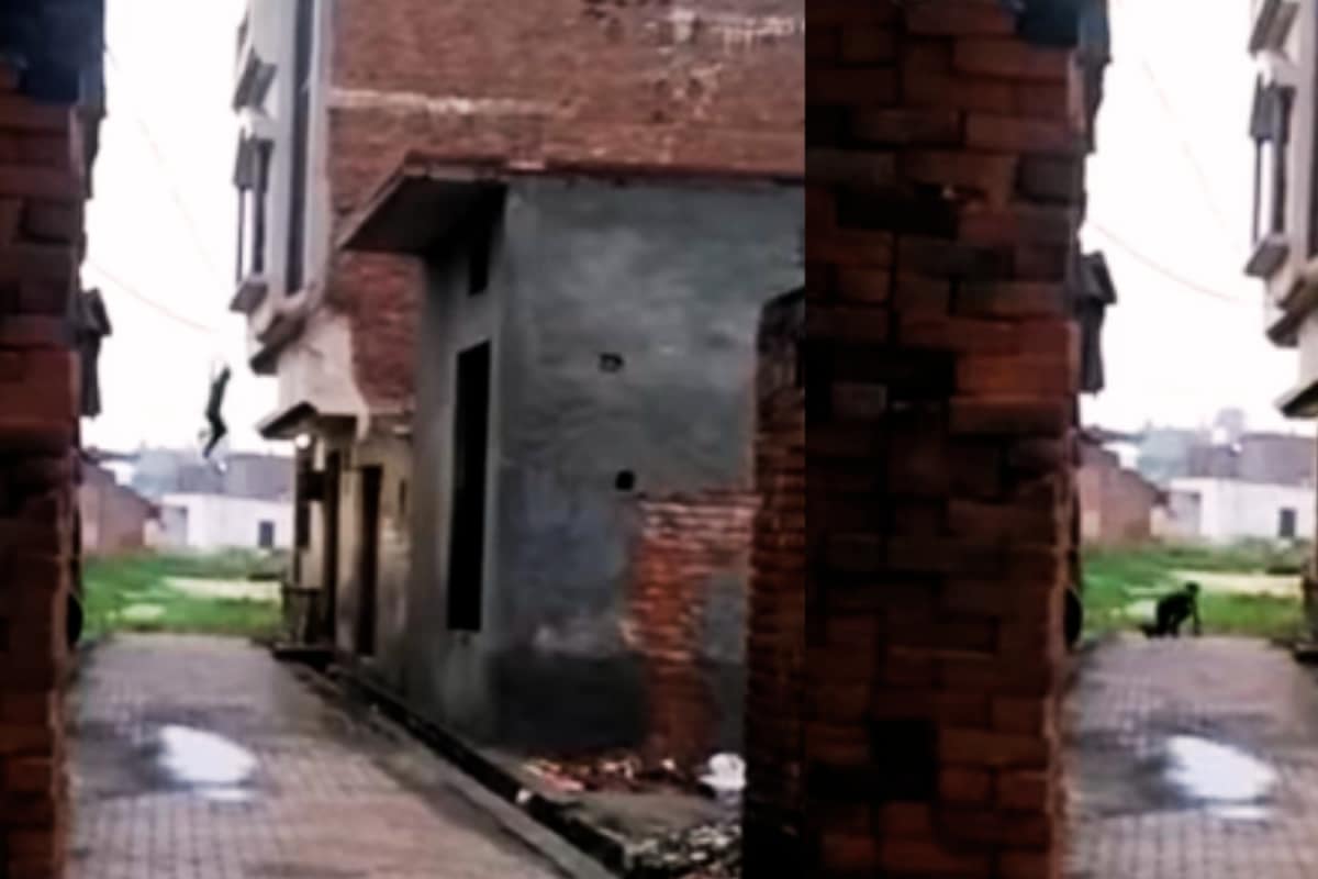 Half-Naked And Hanging: Viral Video Shows Man Fleeing Married Girlfriend’s Home | Watch