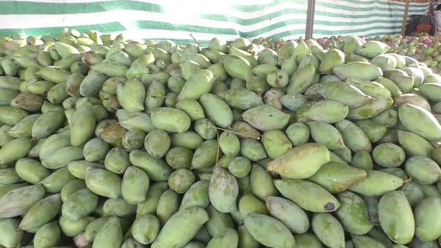 Mango farmers in Karnataka's Srinivaspur region staged a 10-hour 'bandh' (strike) on Wednesday, demanding a support price of Rs 15 per kilogram for their produce. (News18)