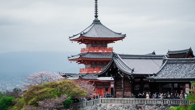 Japan recorded its hottest day in history, with the mercury soaring to 41.2°C in Tamba.