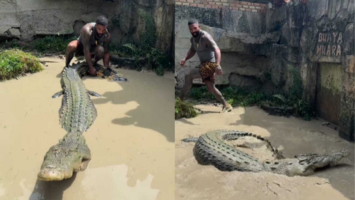 Man Grabs Crocodile’s Tail, What Happened Next Was Terrifying | Watch Man Grabs Crocodile’s Tail, What Happened Next Was Terrifying | Watch
