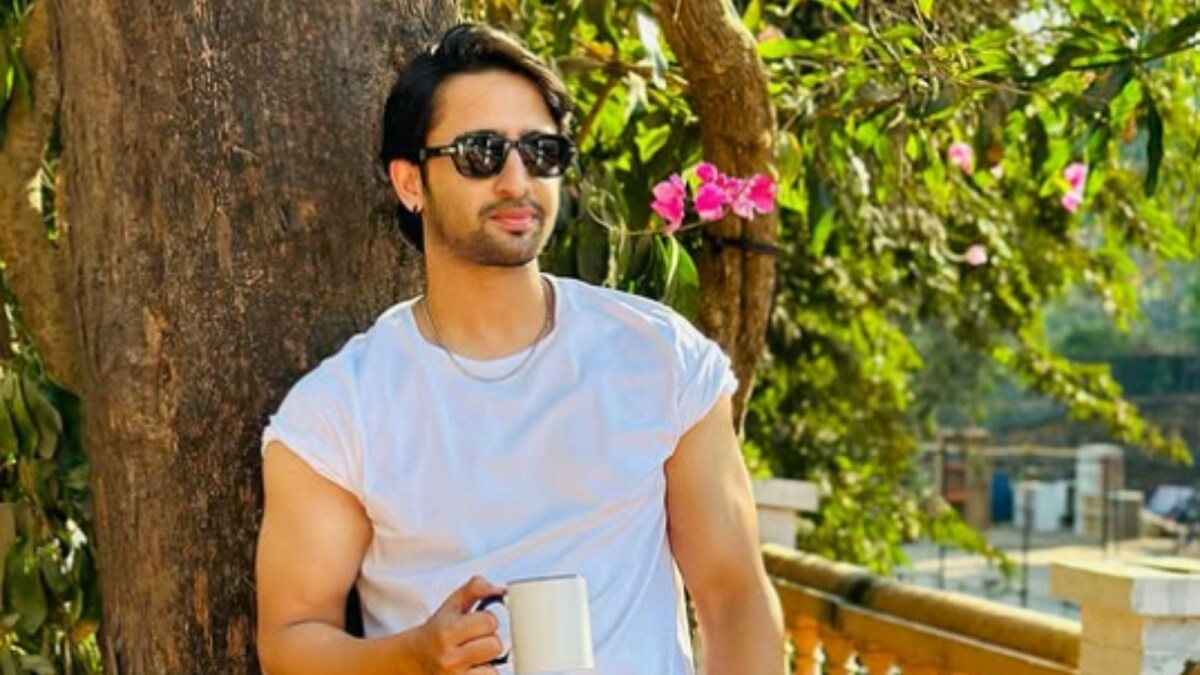 Shaheer Sheikh's Workout Video Fuels Film Speculation