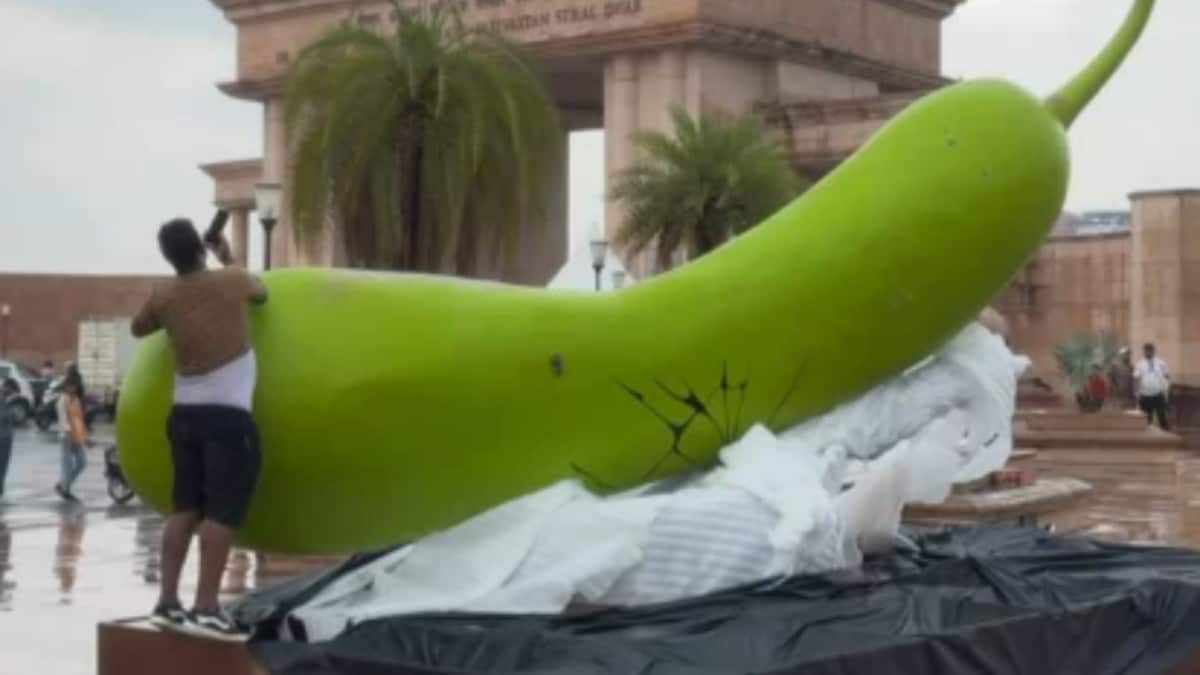In Lucknow, King-Size ‘Lauki’ On Cooker Is Grabbing Eyeballs: Dekh Raha Hai Binod…’ | Watch