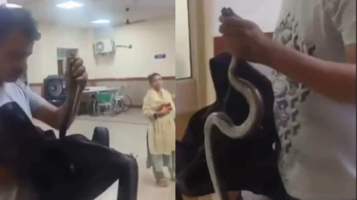 After Being Bitten, Man Casually Walks Into Hospital With Snake In His Bag