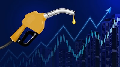 The Ministry of Petroleum and Natural Gas said moving to E20 fuel is part of India's commitment to meeting its climate goals and achieving net zero emissions by 2070. (Representative image)