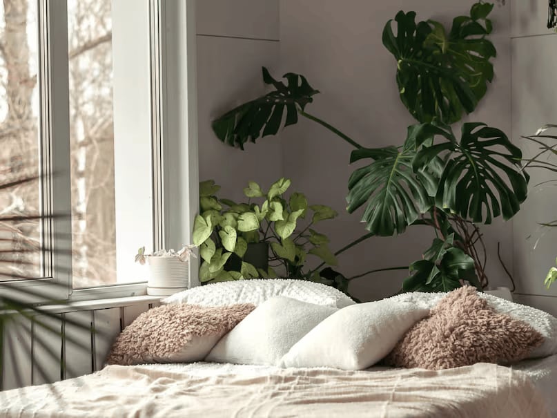 Good for plants: If you have indoor plants, keeping a bucket of water in the room adds humidity, which helps them stay fresh and healthy. So, the next time you’re relaxing in an AC room, don’t forget to keep a bucket of water. It’ll not only help cool the room but also offer several health benefits. (News18 Hindi)