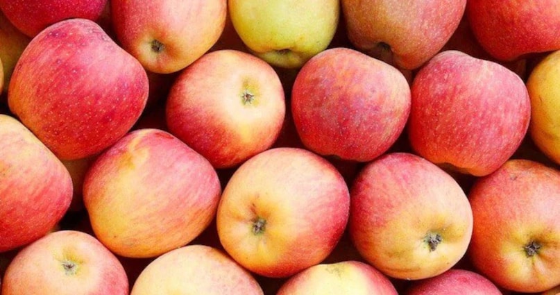 It's not just apples; any fruit or vegetable that appears unusually shiny or has unnaturally dark colours might be chemically treated. While naturally grown apples have a gentle, natural sheen, fake ones appear overly glossy. This excessive shine is often a clear indicator of chemical coating. Buyers should be vigilant and aware of such signs when shopping. Rather than being swayed by visual appeal, one must learn to identify the authentic characteristics of natural produce. (News18 Hindi) It's not just apples; any fruit or vegetable that appears unusually shiny or has unnaturally dark colours might be chemically treated. While naturally grown apples have a gentle, natural sheen, fake ones appear overly glossy. This excessive shine is often a clear indicator of chemical coating. Buyers should be vigilant and aware of such signs when shopping. Rather than being swayed by visual appeal, one must learn to identify the authentic characteristics of natural produce. (News18 Hindi)