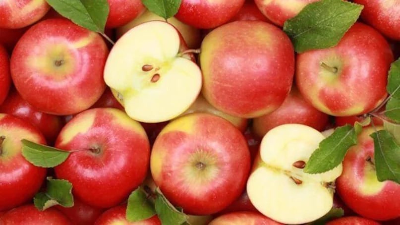 According to Food Safety Assistant Commissioner Dr Ved Prakash Mishra, real apples emit a sweet, natural fragrance. When you smell a genuine apple, you’ll notice its distinct, pleasant aroma. In contrast, fake or chemically treated fruits may smell of chemicals, have no scent at all, or emit an odd, unpleasant odour. So, make it a habit to smell fruits before buying as it is a simple yet effective way to detect authenticity. (News18 Hindi) According to Food Safety Assistant Commissioner Dr Ved Prakash Mishra, real apples emit a sweet, natural fragrance. When you smell a genuine apple, you’ll notice its distinct, pleasant aroma. In contrast, fake or chemically treated fruits may smell of chemicals, have no scent at all, or emit an odd, unpleasant odour. So, make it a habit to smell fruits before buying as it is a simple yet effective way to detect authenticity. (News18 Hindi)