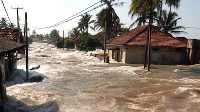 Fourteen countries, including India, were severely affected by the 2004 calamity, with Indonesia, Sri Lanka, India, Thailand, and the Maldives enduring the worst destruction. (News18)