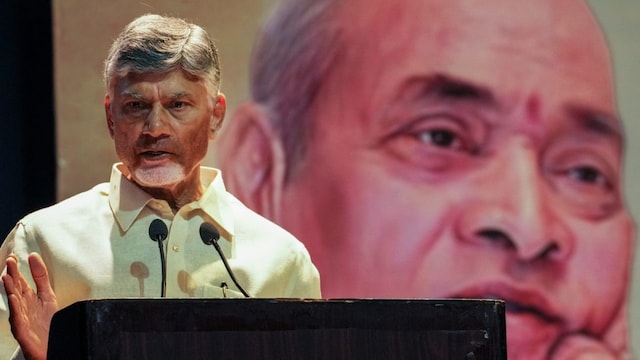 Andhra Pradesh Chief Minister N Chandrababu Naidu addresses a gathering at a memorial event for former PM Narasimha Rao in New Delhi. (PTI photo)